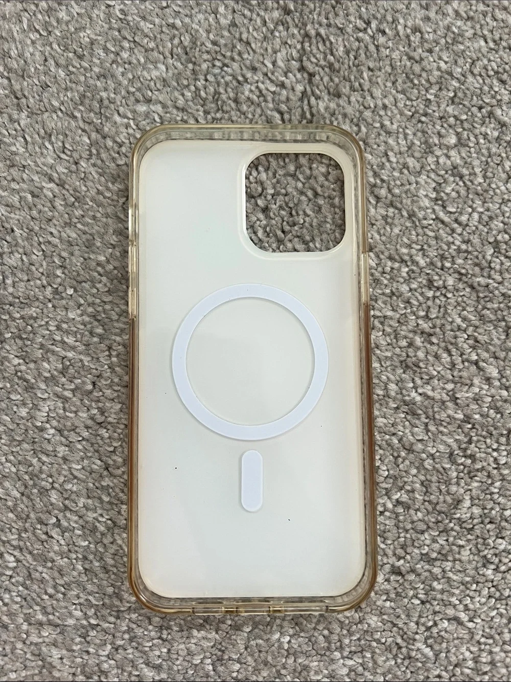iPhone 13 Pro Max Mag Safe phone case